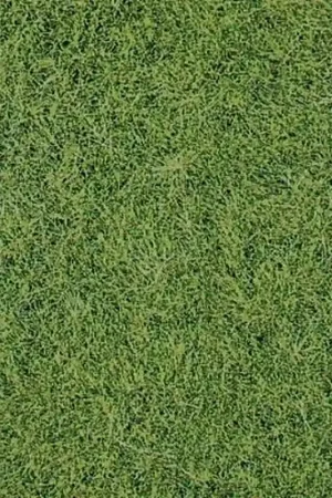 Offre Spéciale 2 Tapis floqués herbes - Vert clair - HEKI 1870 - Échelle Universelle - 400x240mm