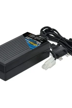 Seulement Aujourd'hui Chargeur Expert NiMH Compact 4A - Carson 500606070