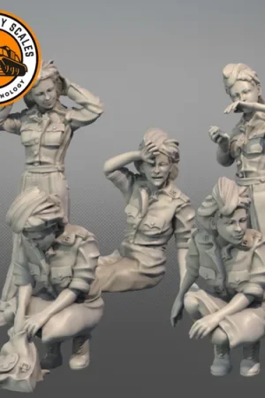 Authentique IDAP Technology PMI0530C The Army Nurse Corps 4