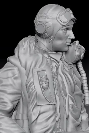 Aims 48F002 RAF/FAA pilot 1950‘s Retour Gratuit