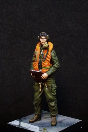 Aims 24F001 RAF/FAA pilot 1950‘s Must-Have