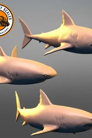IDAP Technology PMI0694B Sharks Set Meilleur Prix